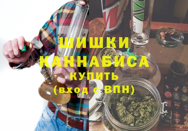 амф Арсеньев
