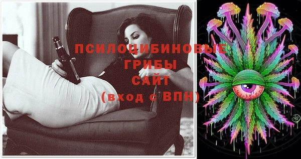 прущая мука Аркадак